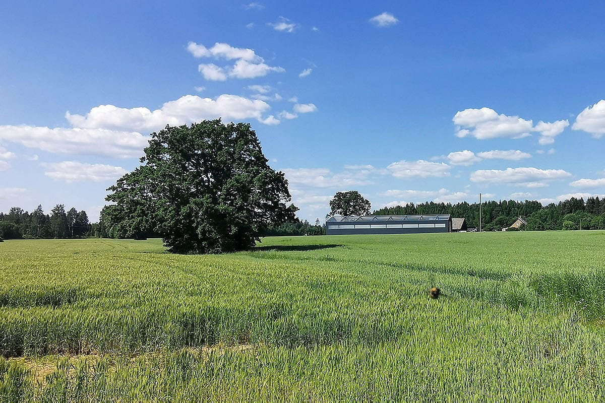 Lauksaimniecības noliktava